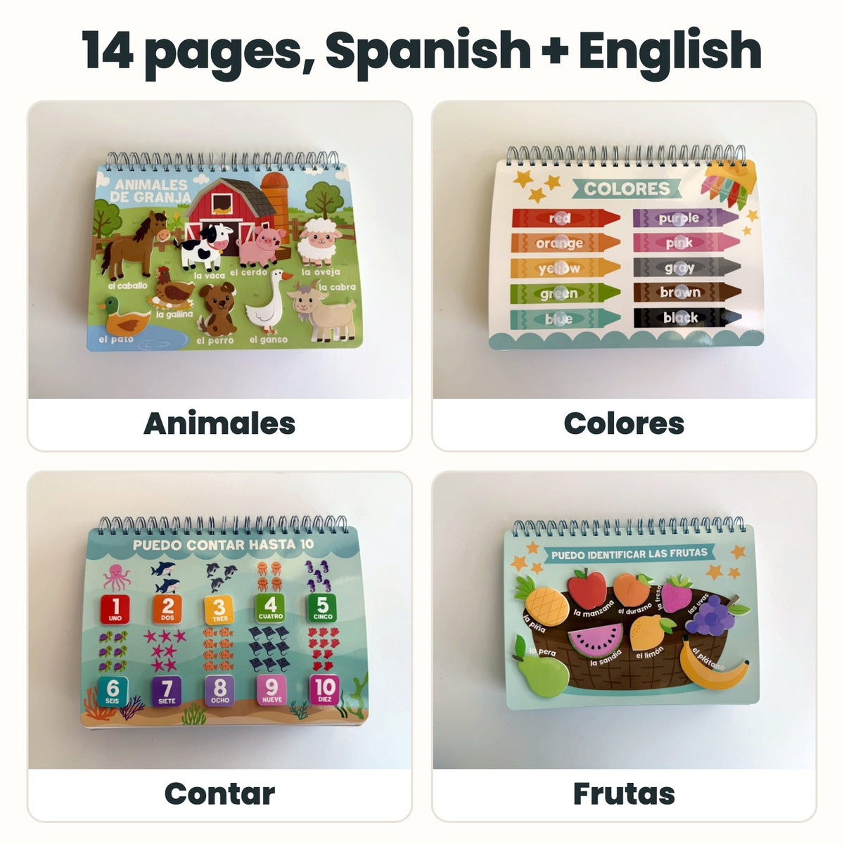 Inside the Spanish Busy Book