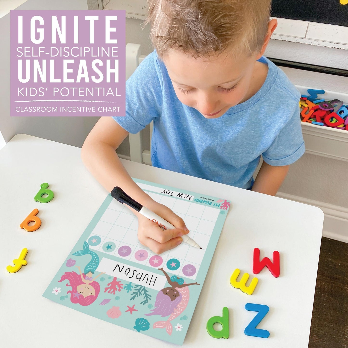 Incentive Charts | Set of 25 | Home Essentials
