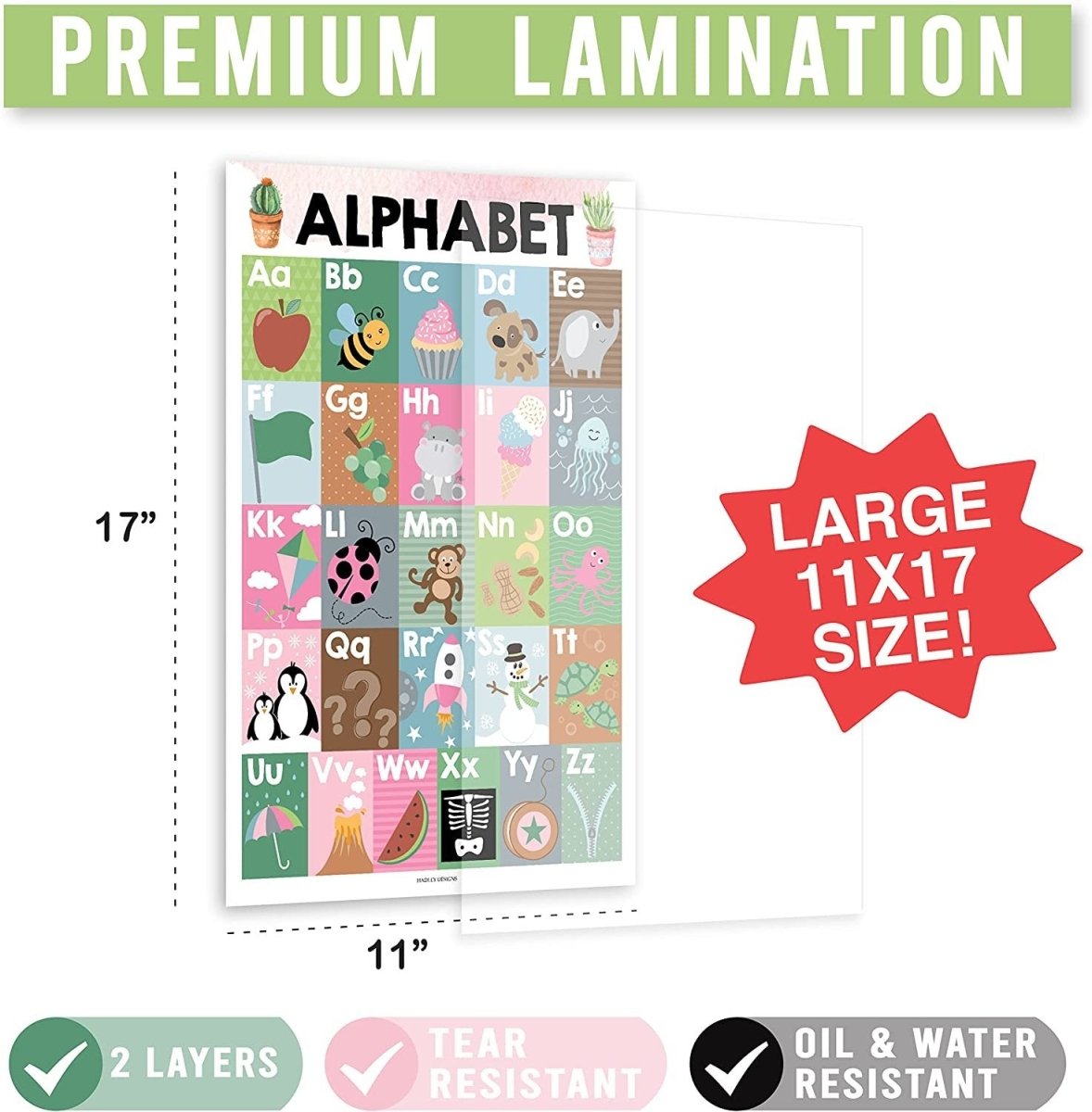 Preschool Head Start Kit, Cactus 16 Poster Pack - Hadley Designs Prek